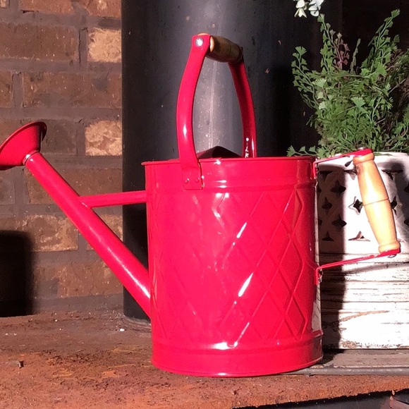 PJYXB watering can red metal wooden handles 35cm tall X 38 cm can - Picture 3 of 5